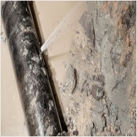 다르다누수탐지 다르다방수공사 PC 갤러리 0